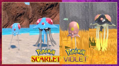 tentacruel build.